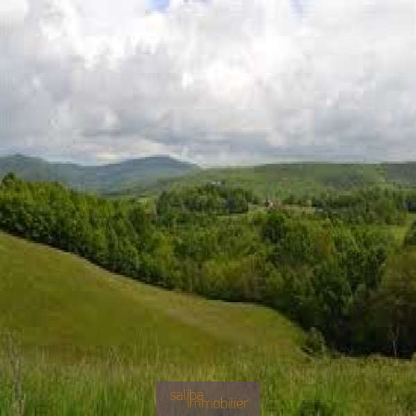Offres de vente Propriété de chasse Castelnau-de-Montmiral 81140